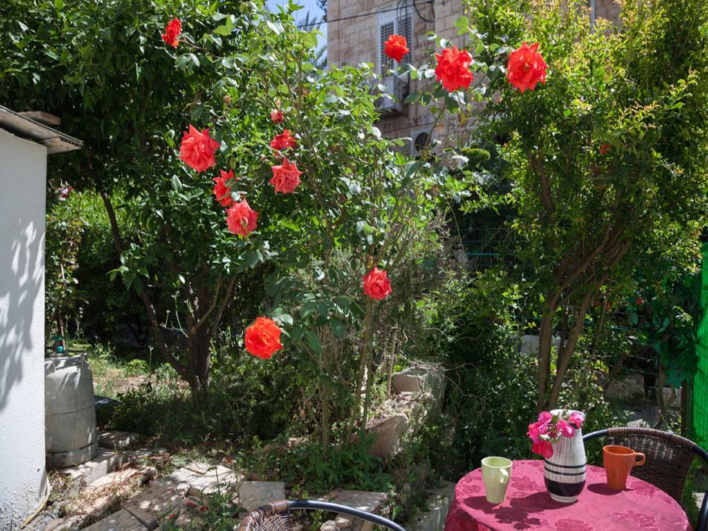 Alona'S Apartments Haifa Eksteriør bilde